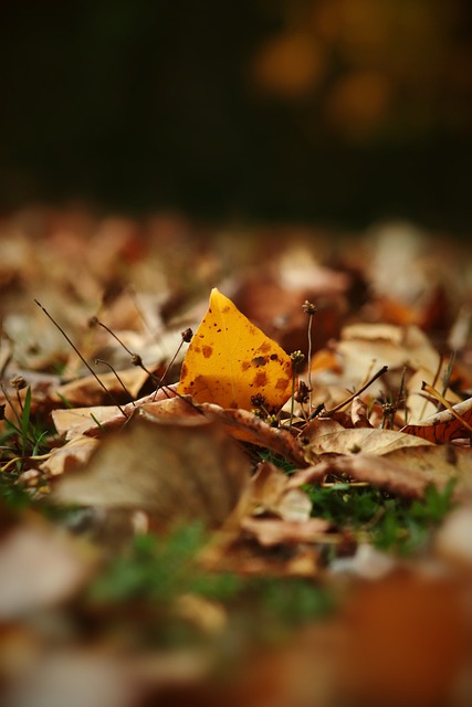 象造成了困 象造成了困