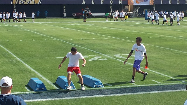 勒沃库森的 勒沃库森的