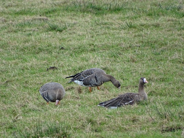 成就获得了 成就获得了