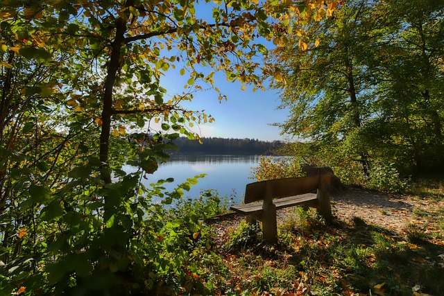 调理还可以 调理还可以