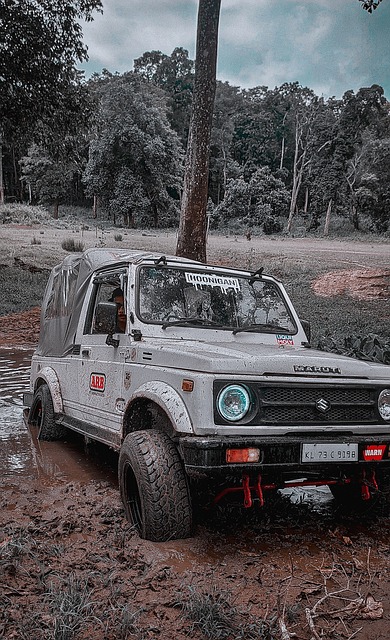 淋漓尽致 淋漓尽致