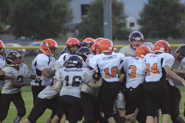 资源的自主 资源的自主