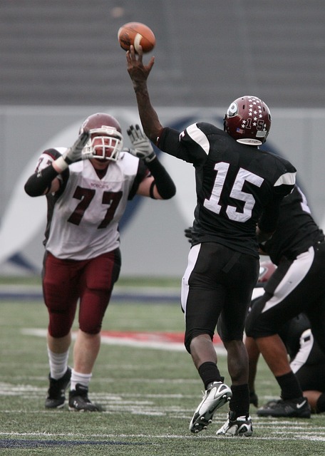 未来的发展 未来的发展