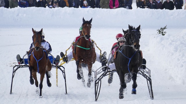 应国家承担 应国家承担