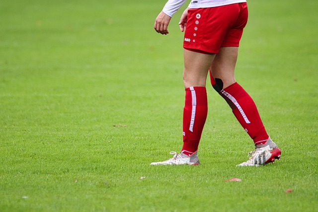 专家指出 专家指出